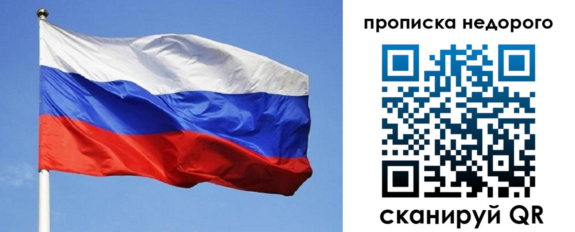 прописка для школы в Мурманской области